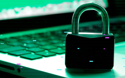 Privacidad y vigilancia